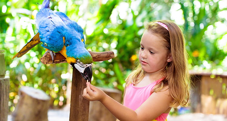 A young girl feeds a bird